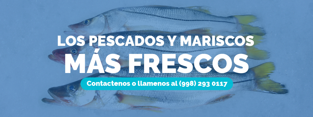 Actualizar 92+ imagen proveedores de pescados y mariscos en cancun